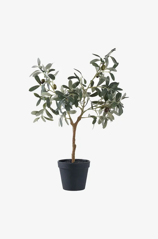 House Nordic - Olivträd - Grön - Konstgjorda växter & plastblommor - Från Homeroom