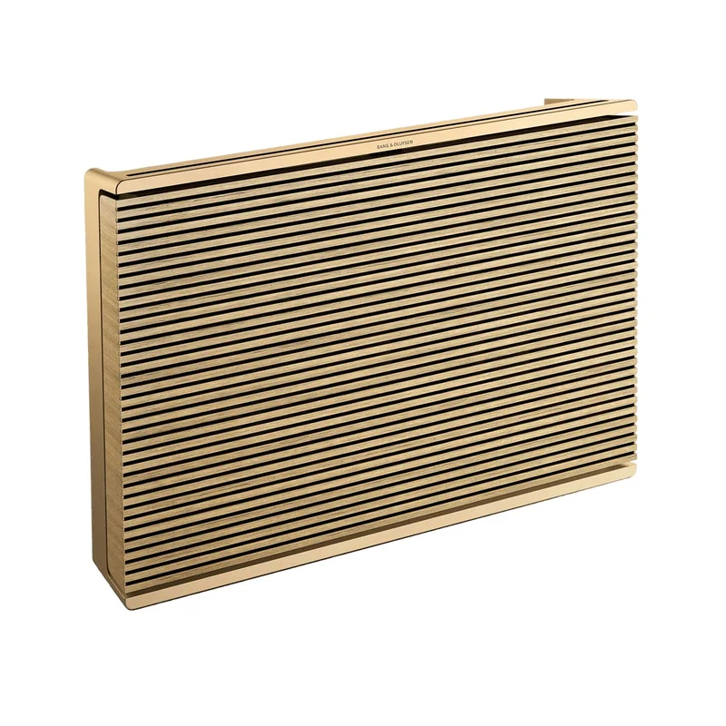Bang & Olufsen Beosound Level Draadloze luidspreker met accu
