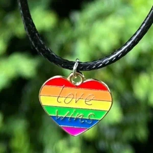 Pride hjärta halsband regnbågshjärta