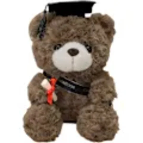 Examenspresent nallebjörn, 23 cm plysch nallebjörn med hatt, 2024 examenspresent plysch nallebjörn.