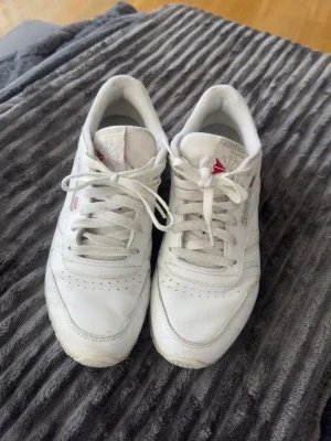 Reebok Classic sneakers