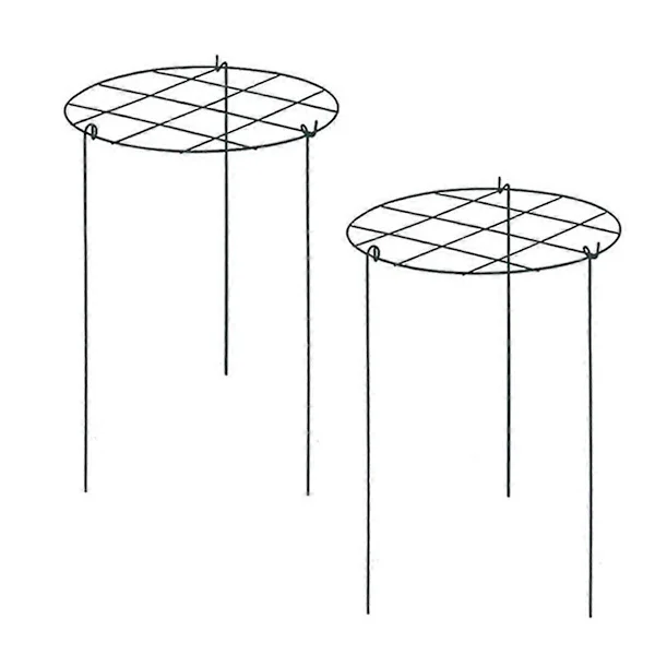 Pionställning, Pionstöd, Växtställning för växande växter lämplig för rosor, tomater, orkidéer_jar