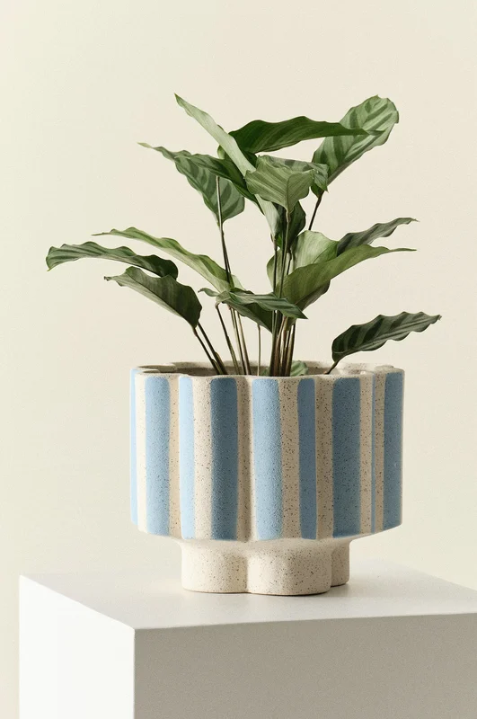 Jotex - Stripe Krukke Blå/offwhite - SIGFRID - Køb Blomsterpotter hos Jotex