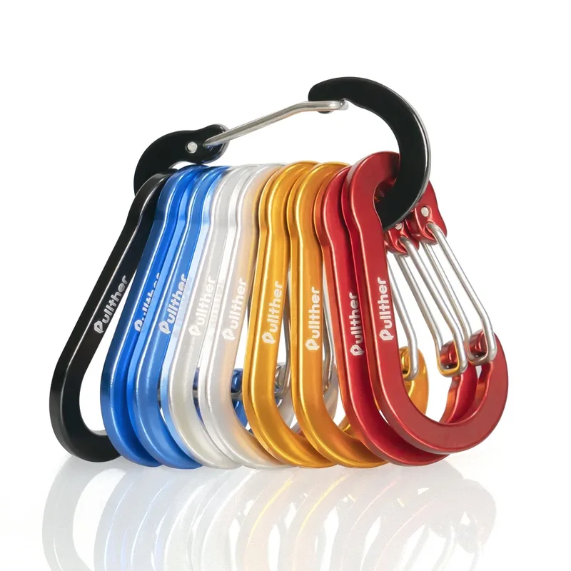AliExpress - Pullther – mousqueton de pêche multi-outils, 10 pièces, anneau en D de 5cm, Aalloy en aluminium, crochet de voyage en plein air, boucle, 