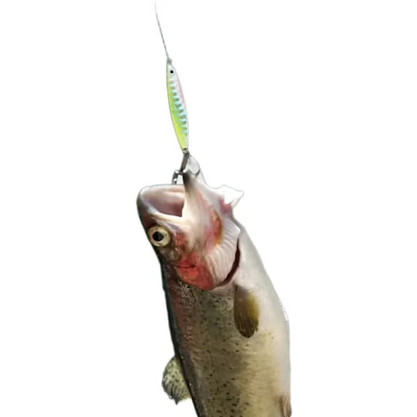 Fiskedrag Set, 6 st Metall Fiskedrag Paljetter Skedar med Hårt Bete För Hav Sjö Drag Verktyg för Saltvatten Sötvatten Öring Abborre Lax Fiske