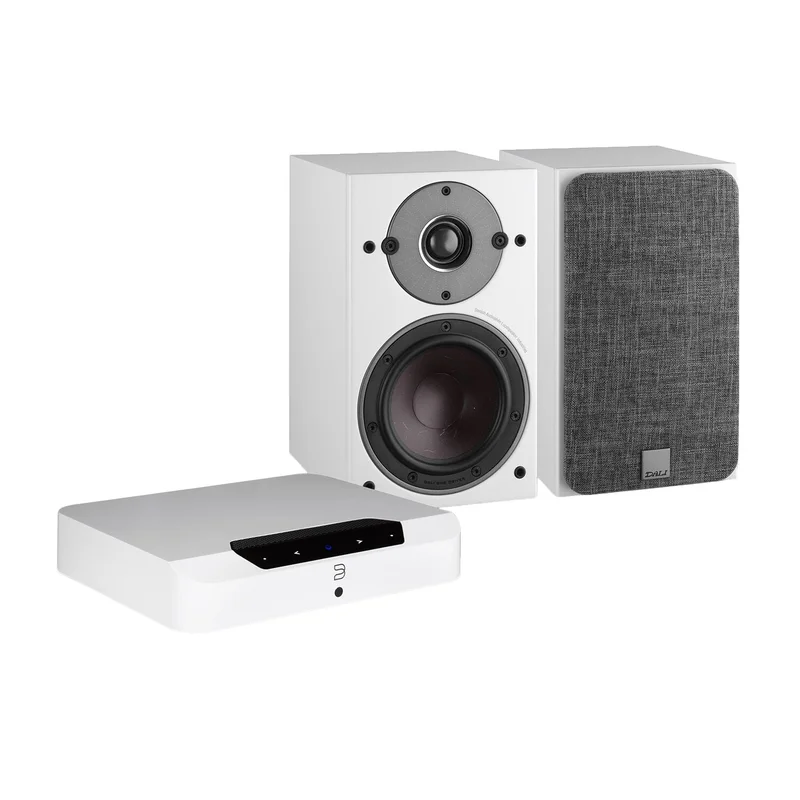 Bluesound Powernode Edge (N230) + DALI Oberon 1 Stereo-anlage für TV