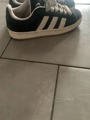 Adidas campus