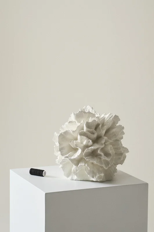 Jotex - Decoratie Gebroken Wit Gebroken wit - CORA - Koop Woonaccessoires bij Jotex