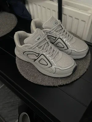 Dior B30