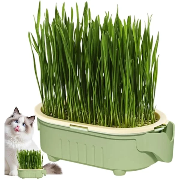 Hydroponisk kattgräsplanterare inomhus 16,4x8,8x5,1cm – Ventilerat jordfritt odlingskit för fönsterbräda, vetegräs, örter