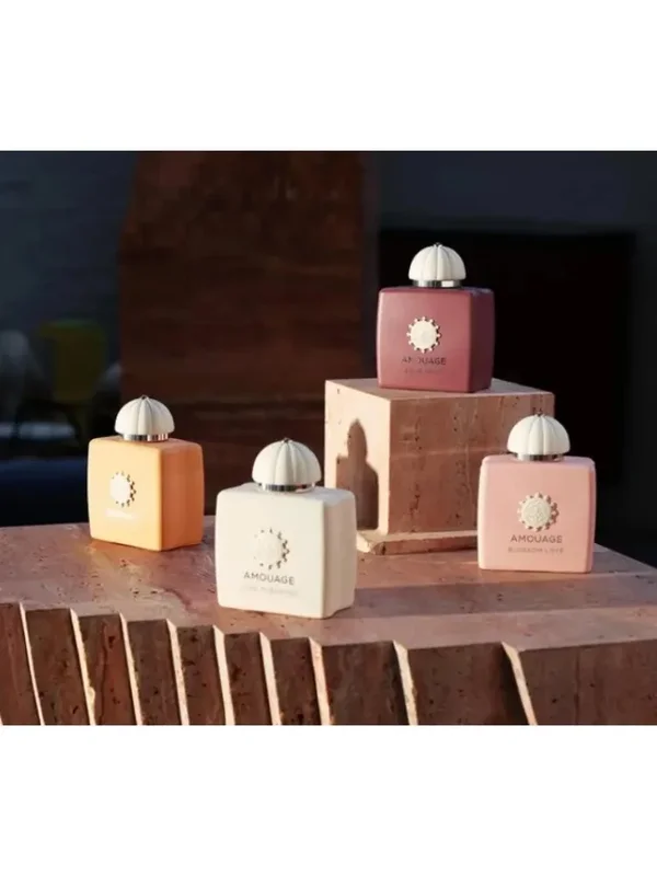 AliExpress - AMOUAGE Eau de Parfum pour Femme 100ml – Parfum Féminin Élégant Longue Durée, Doux, Chaleureux et Unique avec des Variantes Irrésistibles