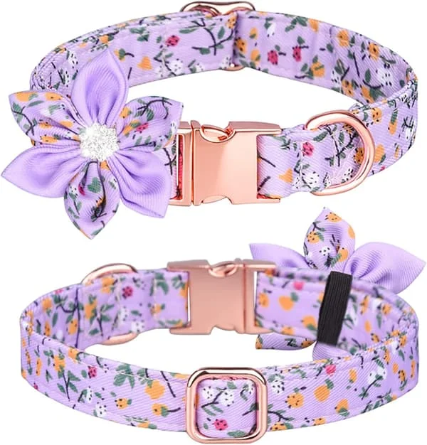Hundehalsbånd, Rhinestone Blomsterpike Hundehalsbånd Valpehalsbånd Blomstret med avtakbar (S, Lilla)