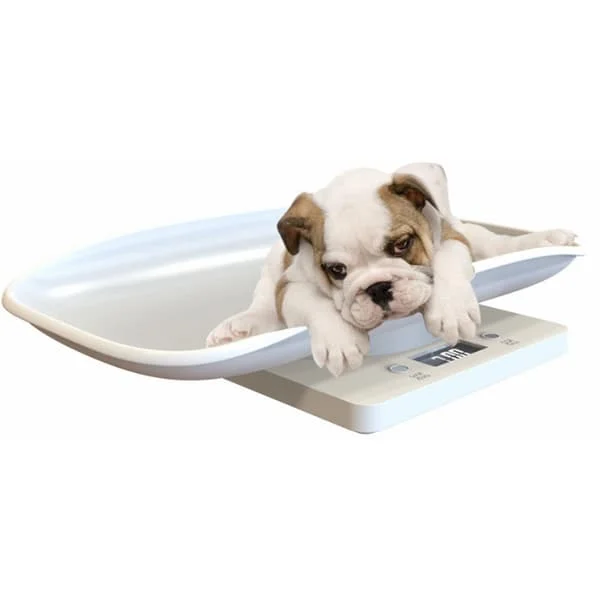 Mini digitaalinen lemmikkivaaka - LCD-näyttö, 15 kg kapasiteetti pienille eläimille, koruille ja ruoalle
