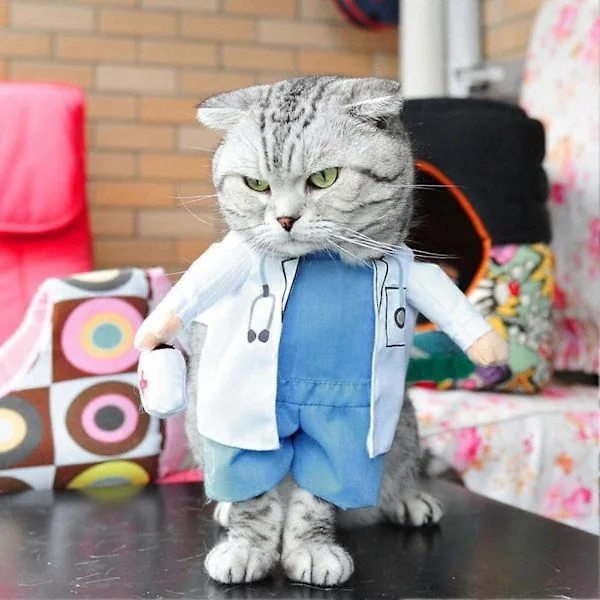 Hunde Kat Læge Kostume Kæledyrslæge Tøj Halloween Jeans Outfit Tøj (L)