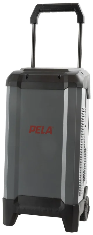 PELA 544069 Batterilader med starthjelp, 12/24 V, 250 A, Verksted & bil