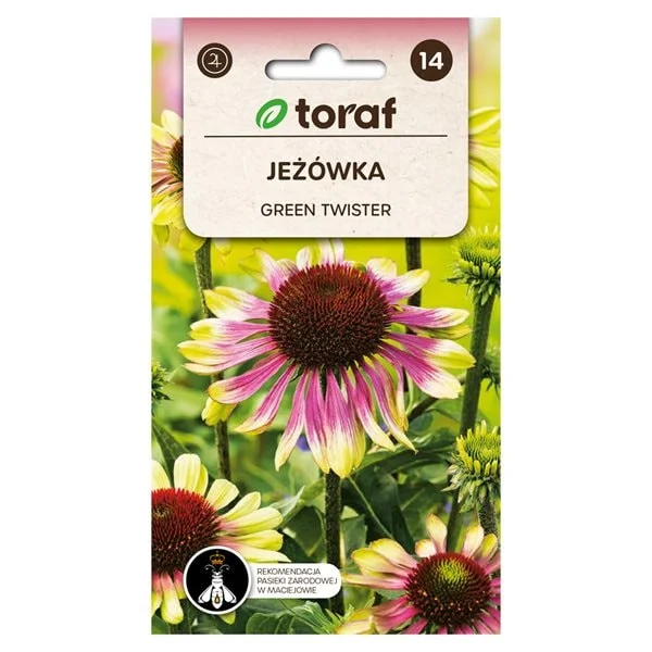 Punainen käenkaali Green Twister siemen / Echinacea purpurea Green Twister / käenkaali monivuotinen