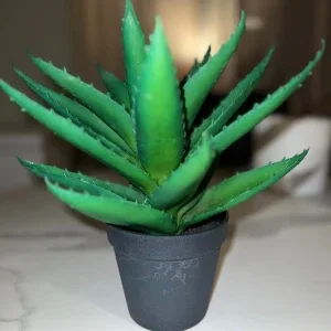Plastväxt Aloe Vera i svart kruka