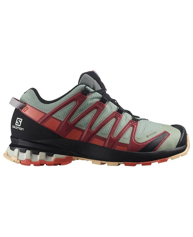 Salomon XA PRO 3D v8 GTX Ws Wrought Iron/Burnt Sienna/Biking Red