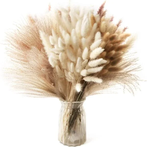 50 Stykker Naturlig Tørket Pampas Dekor Tørkede Blomster Tørket Bukett Pampasgress Dekor Dekorative Pampasgress Planter