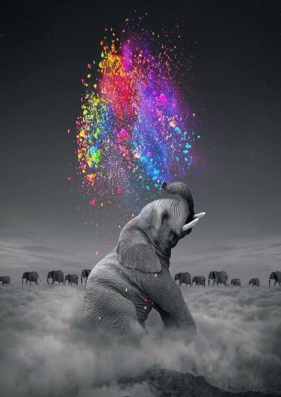 5D Diamantmaleri Sæt, Farverig Stjerneklar Grå Elefant Fuld Drill Kunst Krystal Diamant Broderi Korssting Malerier Kunst, DIY Håndværk Malerier Ki