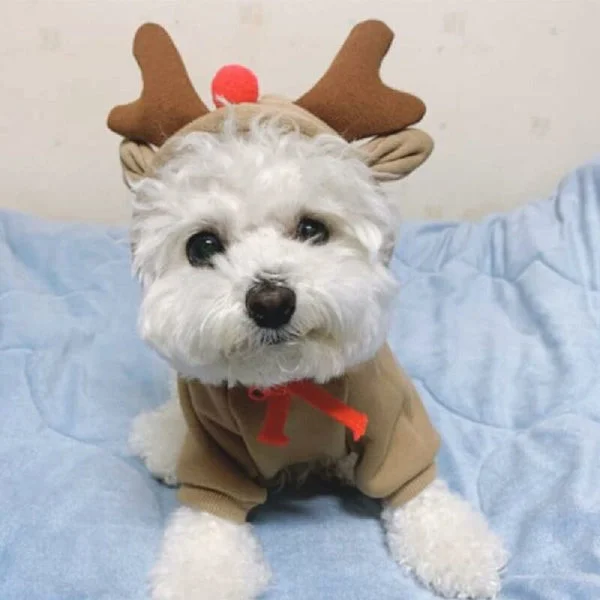 Hund Katt Genser Klær Julekostyme Kjæledyr Varm Hettegenser Kjæledyr Cosplay Antrekk for Små og Mellomstore Hunder Katter Genser, Elg, Stor
