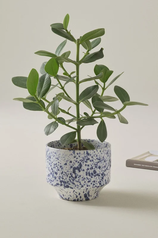 Jotex - Übertopf Ø 21,5 Cm Weiß/Blau - BELLADONNA - Kaufe Übertöpfe bei Jotex