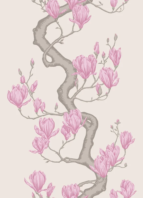 Magnolia Tree wallpaper - Cole & Son Sample / Parchment and Soft Fuchsia