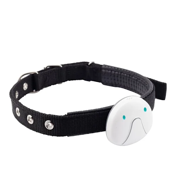 GPS-halsband för katt och hund, GPS-spårare, vit