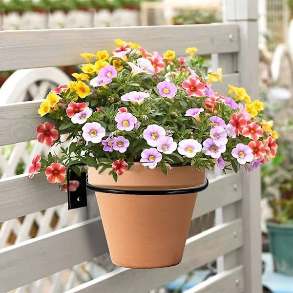 6 st väggmonterade blomkrukor 11 cm blomkrukahållare väggring blomkrukahållare väggmonterade växter väggmonterad växtkrukahållare vägg för hemträdgård