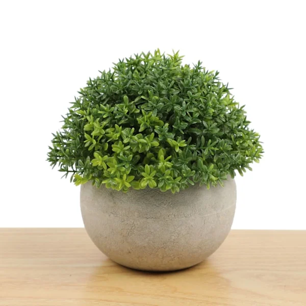 Tekokasvi minitekokasvit ruukut eukalyptus rosmariini