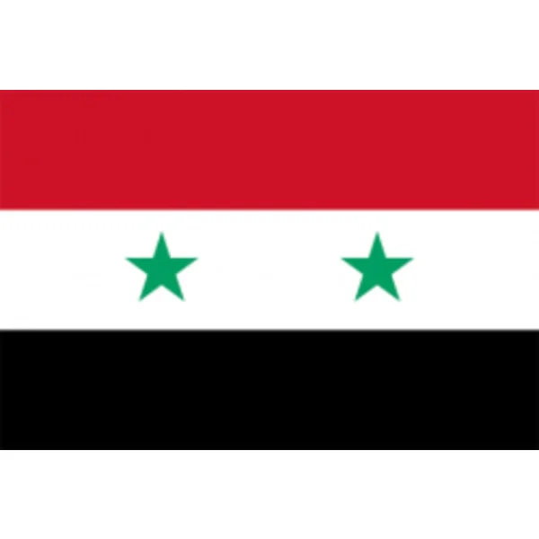 【YD】Flagga - Syrien 100