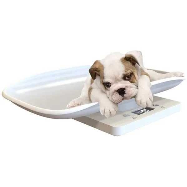 Digital Pet Scale Kitchen Scale Multifunctional LCD Electronic Scale 10kg Weight Scale Pet Accessories
