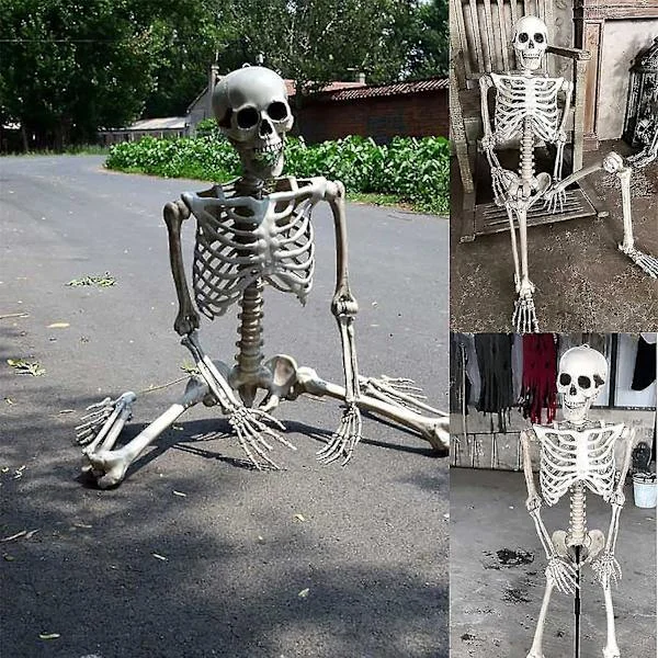 Halloween Skelet Fuld Krop Bevægelige Led Menneskeben, Skræmmende Halloween Skelet Dekoration Til Halloween Fest Spøgelseshus Tilbehør 40cm