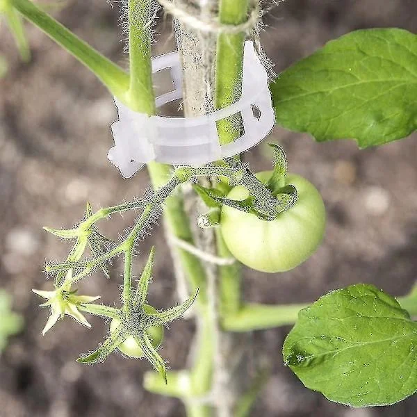 /EA/100 st Plantclips Blomclips Perfekt för att Fästa Växter till Växter