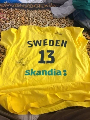 Gul Sverige matchtröja nr 13