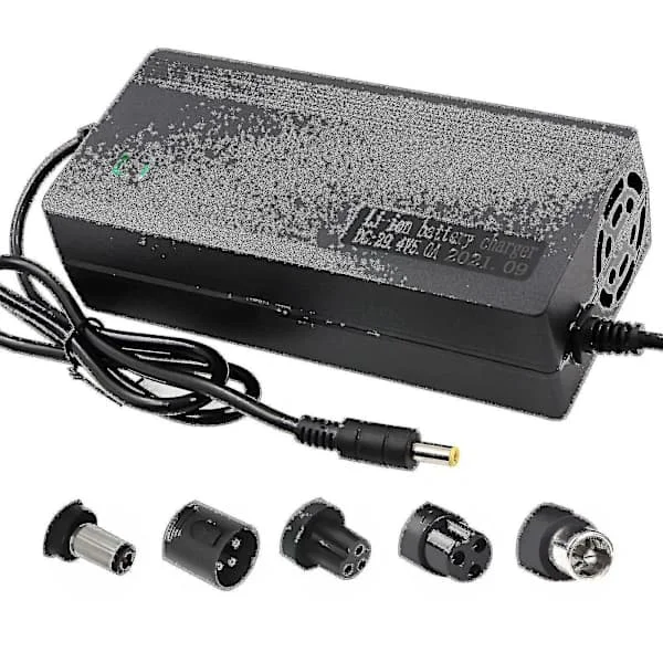 24V 5A Li-ion Battery Charger with Multiple Functions 2A 5A with Cooling Fan DC Plug European Standard