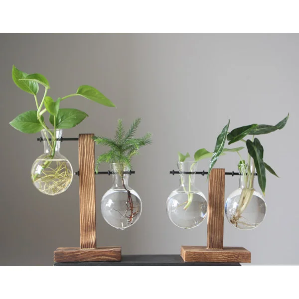 Kreativ treramme hydroponisk vase grønn dill plante gjennomsiktig glass plante blomsterarrangement beholder skrivebordsdekorasjoner for 