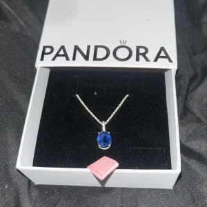 Pandora halsband med blå sten