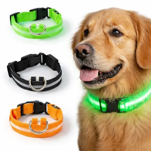 LED Hundhalsband Uppladdningsbar / Reflex & Halsband för Hund