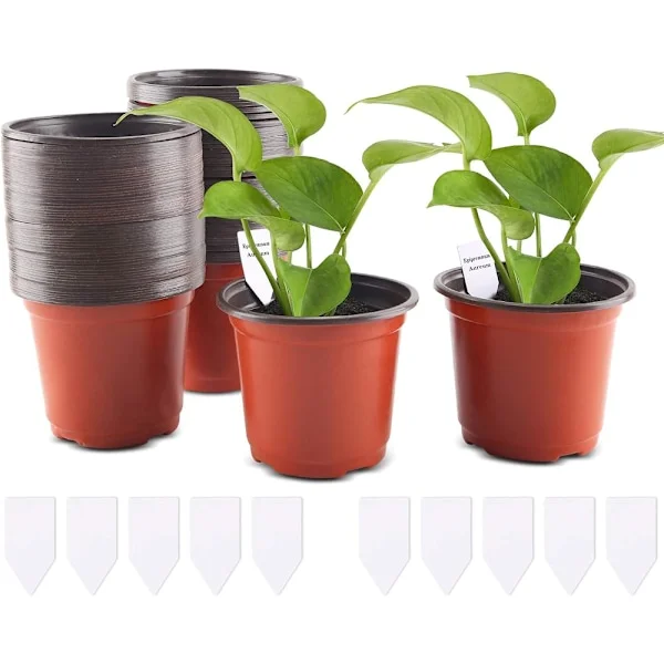 100 stk. Plast Plantepotter, 10 cm Plast Plantepotter med Etiketter Plante Planteskole Blomsterpotte