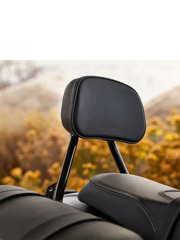AliExpress - Dossier de moto siège passager arrière porte-bagages Sissy Bar Pad pour Indian Scout soixante Bobber Sport Super Scout 2025 2026
