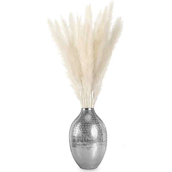Dried Pampas Grass, Natural Pampas Grass Dried, Pampas-XF28-