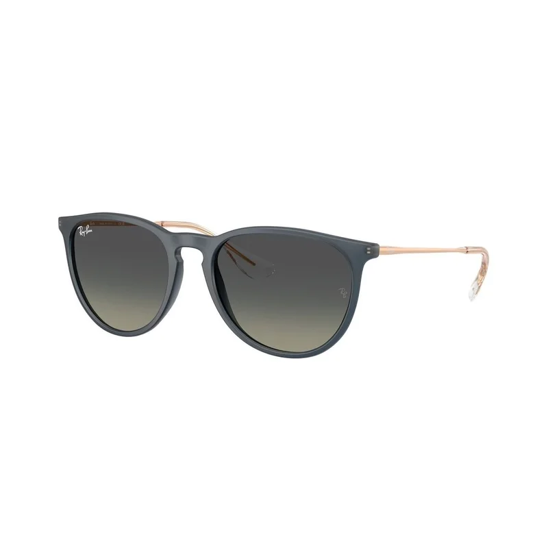 Ray-Ban Erika - Solbriller - Blå - RB4171 681311 5418