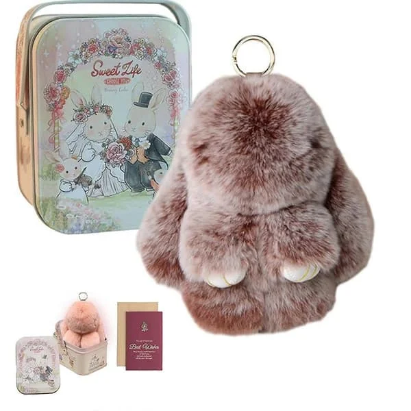 Bunnylulu Nøkkelring, Bunny Lulu Nøkkelring, Søt Kanin Nøkkelring Med Elegant Eske, Kanin Nøkkelring Plysj (FMY)