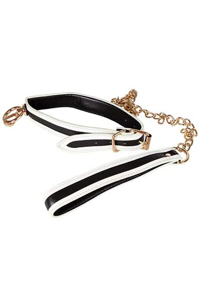 Glow-in-the-Dark Collar with Leash Halsband & koppel - Blushme.se