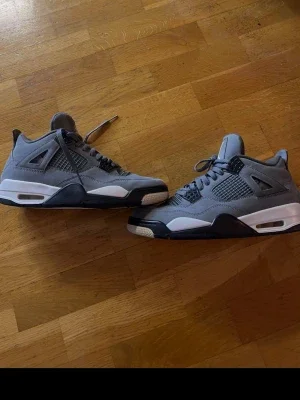 Air Jordan 4 cool grey (2019)
