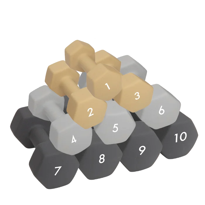 Abilica Manual 1–10 kg