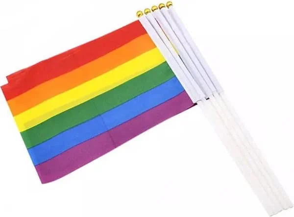 Regnbågsflagga | Prideflagga | HBTQ | Regnbågsdekoration | 14 x 21 cm | Able & Borret