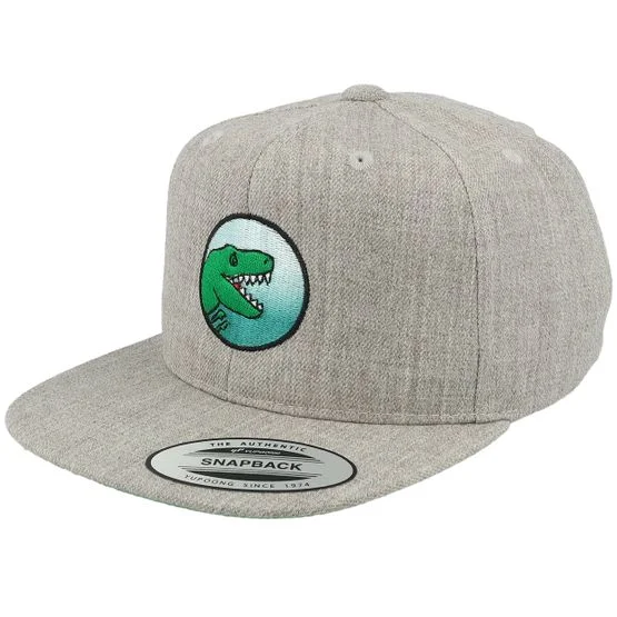 Kiddo Cap - Grå snapback Caps - Kids T-Rex Park Gradient Heather Grey Snapback @ Hatstore