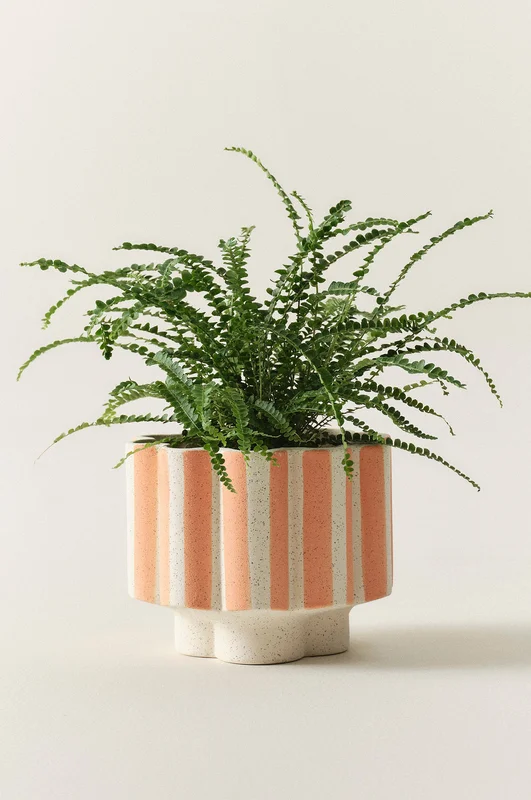 Jotex - Stripe Übertopf Apricot-Naturweiß - SIGFRID - Kaufe Übertöpfe bei Jotex